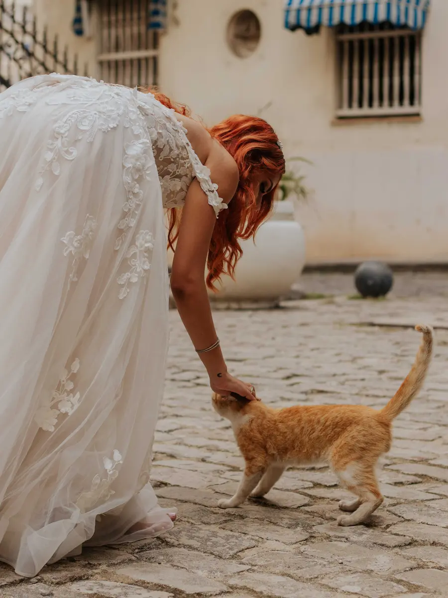 chica con traje de novia acariciando un gato